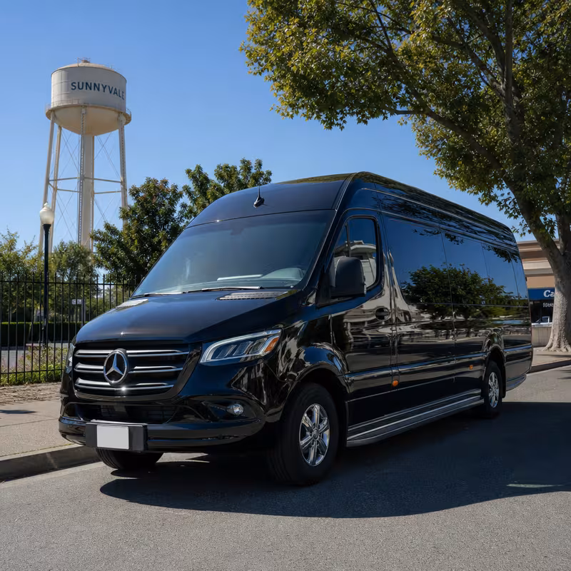 14 Passenger Sprinter Limo